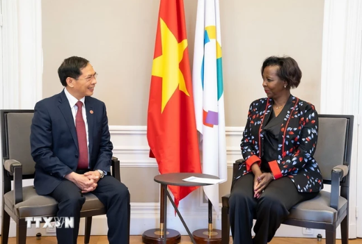 Minister Bui Thanh Son and OIF Secretary-General Louise Mushikiwabo. (Photo: VNA) france.png