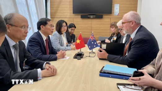 At the meeting between Minister Bui Thanh Son and Assistant Minister for Trade and Assistant Minister for Manufacturing of Australia Tim Ayres. (Photo: VNA) australia.png