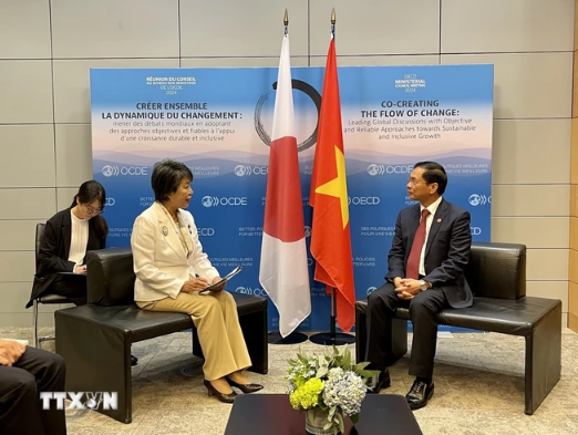 Minister of Foreign Affairs Bui Thanh Son and his Japanese counterpart Kamikawa Yoko. (Photo: VNA) Japan.png
