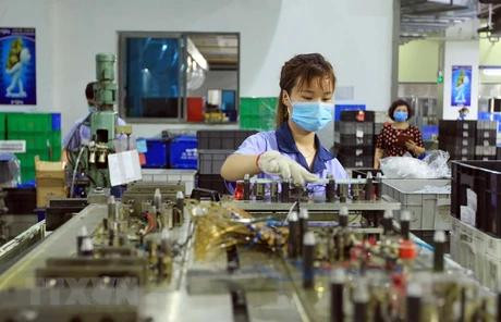 Production at EVA company (Photo: VNA) 2603Haiphong3pg.jpg.webp