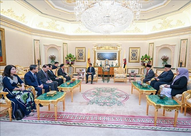 The meeting between NA Vice Chairman Nguyen Khac Dinh and Sultan of Brunei Haji Hassanal Bolkiah in Bandar Seri Begawan on August 10. (Photo: VNA) na-vice-chairman-nguyen-khac-dinh-meets-with-sultan-of-brunei-haji-hassanal-bolkiah.jpg
