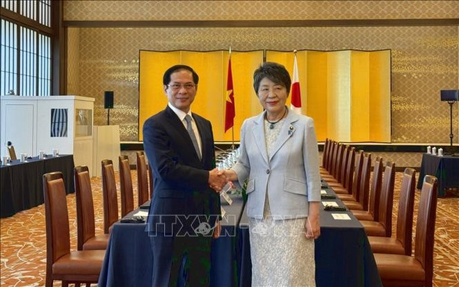 Minister of Foreign Affairs Bui Thanh Son (L) shakes hands with his Japanese counterpart Kamikawa Yoko. (Photo: VNA) FM.jpg