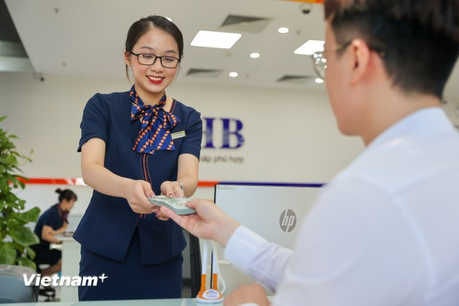 Foreign exchange transaction at a bank (Photo: VietnamPlus) sbv.jpg