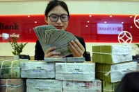 The daily reference exchange rate for the US dollar is set at 24,643 VND/USD on February 20. (Photo: VNA)