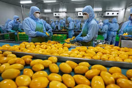 Vietnam’s fruit, vegetable exports estimated at 6.11 billion USD in nine months
