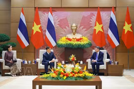 Vietnam, Thailand have ample room to complement and develop together: PM