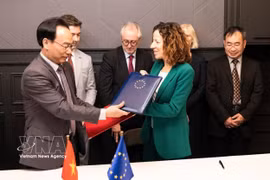 Vietnam, EU sign Letter of Intent on education and training cooperation