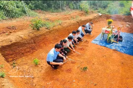 Numerous artefacts unearthed from ancient tomb in Nghe An 