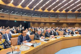 Vietnam promotes cooperation with United Nations on crime prevention