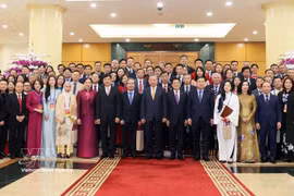 Overseas Vietnamese seen as strategic resource for national development