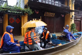 Functional forces assist international tourists in travelling to safe shelters. (Photo: VNA)