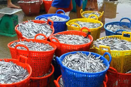 Hung Yen fishermen join hands to combat IUU fishing