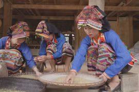 Ethnic Lao community in Dien Bien celebrates new rice festival