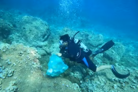 Safeguarding marine ecosystems through sustainable actions