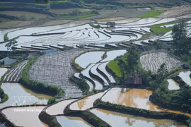 Lai Chau’s terraced fields shine during water-pouring season
