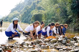 Gallery - Spectacular beauty of Da Do rocky coast in Quang Ngai