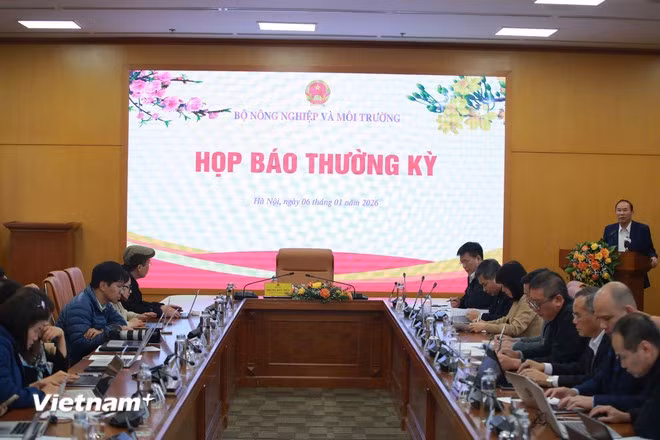 hop-bao.jpg