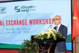 Deputy Director of the MARD’s International Cooperation Department To Viet Chau speaks at the workshop (Photo: VNA)