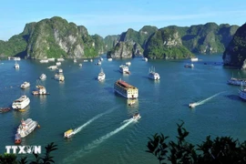 A view of Ha Long Bay in Quang Ninh province (Photo: VNA)