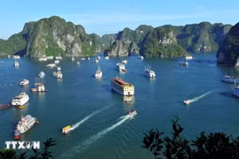 A view of Ha Long Bay in Quang Ninh province (Photo: VNA)