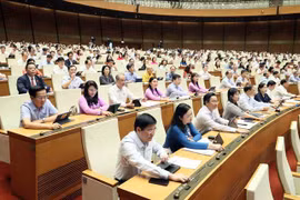 National Assembly deputies vote on the Capital Law (revised) (Photo: VNA)