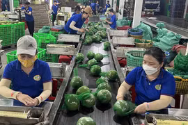 Export recovery helps boost Vietnam’s economic growth - Illustrative image (Photo: Internet)