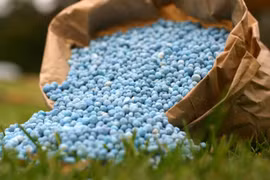 Indonesia boosts clean tech in fertiliser production
