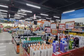 Vietnam is poised for strong growth in the last six months of 2024 (Photo: VietnamPlus)