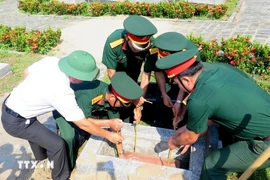 Illustrative image (Photo: VNA)