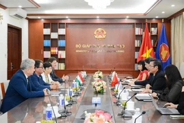 Representatives of the Vietnamese Ministry of Education and Training have a meeting with those from Hungary (Photo: PV/Vietnam+)