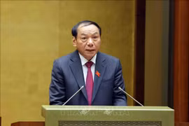 Minister of Culture, Sports, and Tourism Nguyen Van Hung speaks at the session. (Photo: VNA)