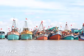 Bac Lieu has all of its fishing vessels of 15m long and above equipped with the VMS. - Illustrative image (Photo: VNA)