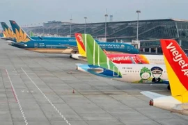 The remarkable growth in international tourist arrivals contributes to positive business results for domestic airlines in H1 (Photo: VNA)