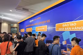 Vietnam's online retail sales increase by 20% over the past 10 years. (Photo: VietnamPlus)