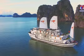 Vietnam climbs 8 places in global tourism development index