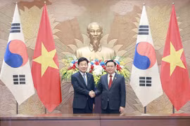 Top Vietnamese, RoK legislators hold talks