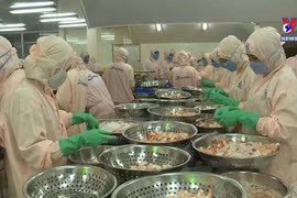 Seafood exports to FTA markets enjoy sharp rise