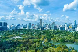 Wood industry has opportunities to increase revenue from carbon credits