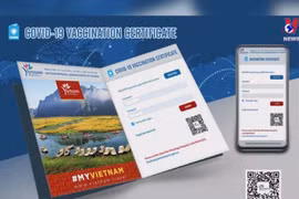 EU adopts equivalence decisions for COVID-19 certificates issued by Vietnam