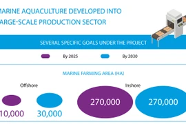 Marine aquaculture developed into large-scale production sector