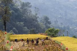 Ha Giang preserving cultural beauty of ethnic minority group