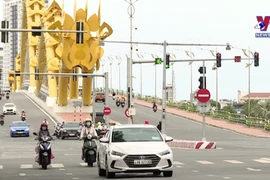 Da Nang leads localities nationwide in digital transformation index