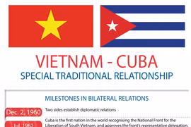 Vietnam, Cuba treasure special friendship