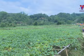 Bac Kan grows ecotourism around local agriculture