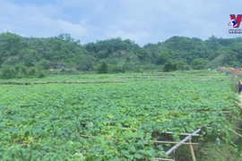 Bac Kan grows ecotourism around local agriculture