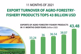 Export turnover of agro-forestry-fishery products tops 43 billion USD