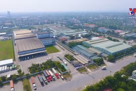 Vietnam’s economic growth driven by good recovery of sectors: WB