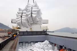 Vietnam needs to cook up stronger global rice brand