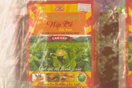 Bac Kan developing OCOP products for export