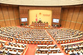 Vietnam meticulously preparing for 15th National Assembly elections